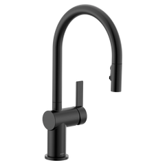 Cia One-Handle High Arc Pulldown Kitchen Faucet