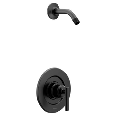 Gibson Chrome Posi-Temp(R) shower only