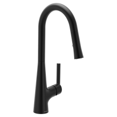 Ronan One-Handle Pulldown Kitchen Faucet with Swivel Control