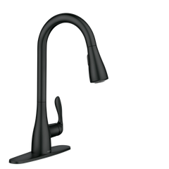 Georgene One-Handle High Arc Pulldown Kitchen Faucet