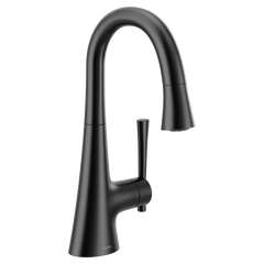 KURV One-Handle Pulldown Bar Faucet