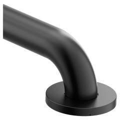 Moen Home Care 48" Concealed Screw Grab Bar