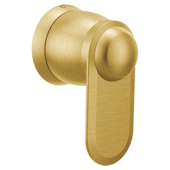 Greenfield Chrome volume control