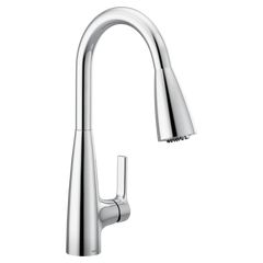 Haelyn One-Handle Pulldown Kitchen Filtration Faucet