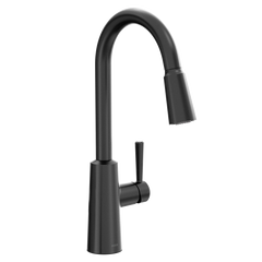 Riley High Arc Pulldown Kitchen Faucet